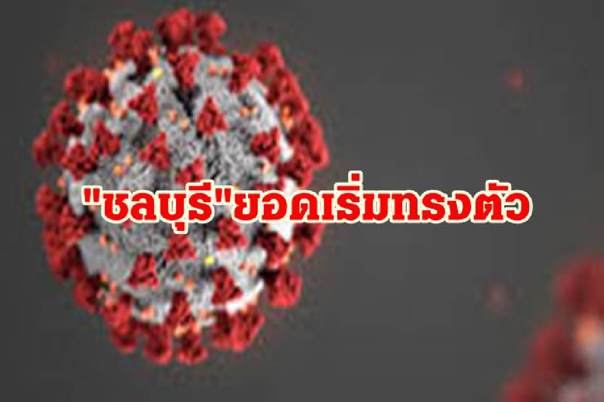 "โควิดชลบุรี" พบ ป่วยใหม่ 482 ราย ติดจากที่ทำงาน-ในครอบครัวมากสุด "โควิดชลบุรี" พบ ป่วยใหม่ 482 ราย ติดจากที่ทำงาน-ในครอบครัวมากสุด
