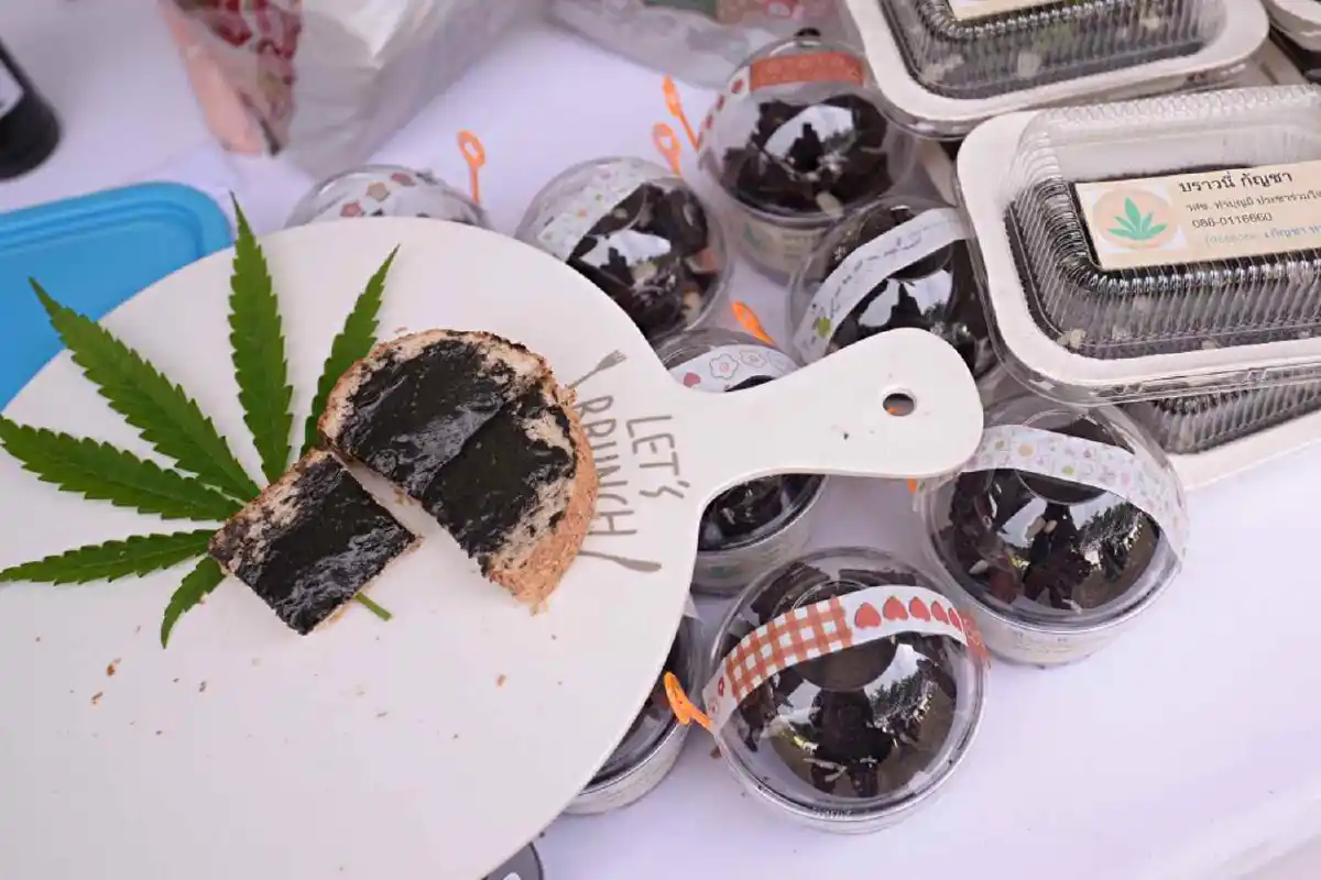 “มากินกัญ” เทศกาลอาหารสุขภาพเพื่อการท่องเที่ยวสายเขียว