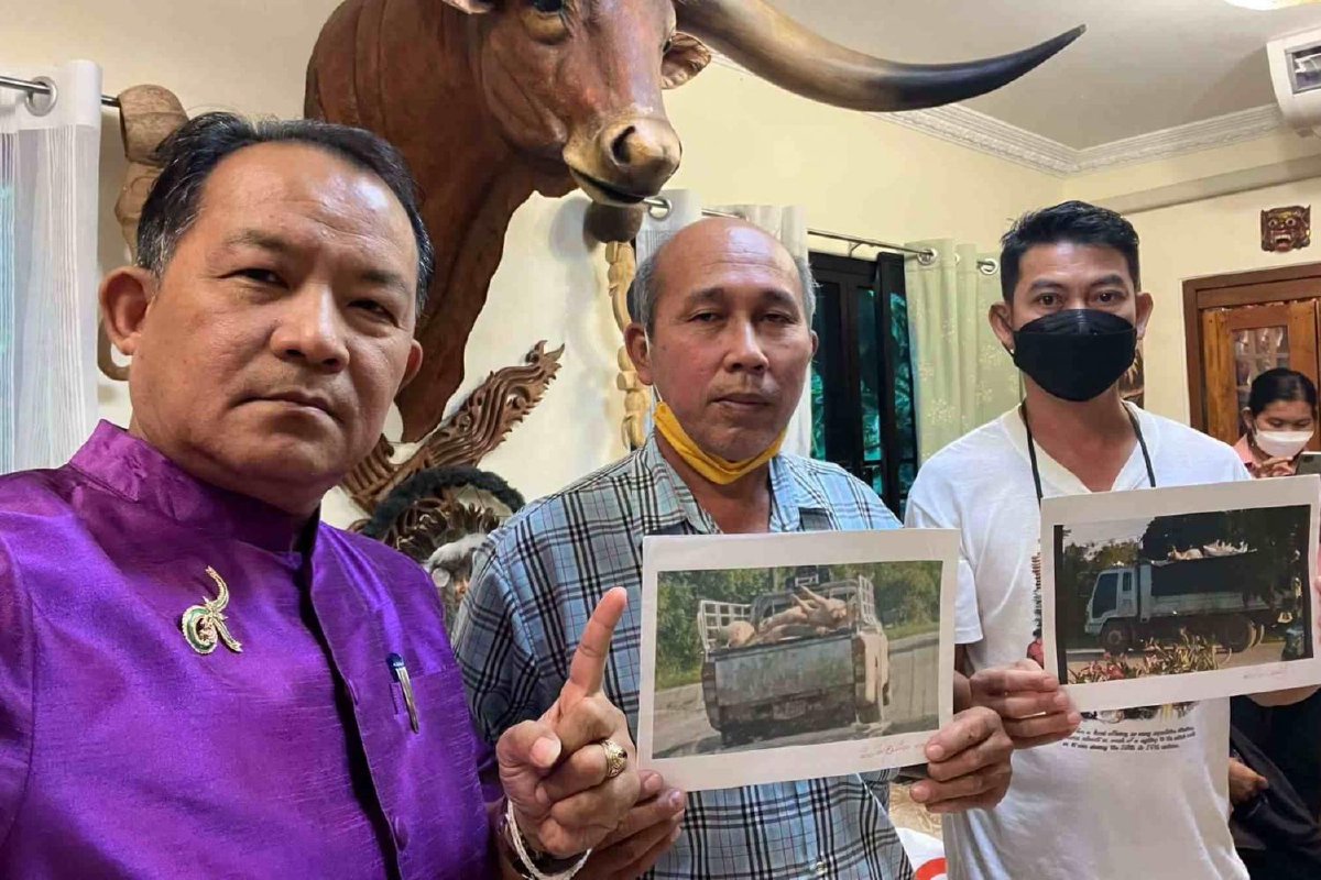 ศรีสุวรรณเผยชาวบ้านจี้ตรวจสอบขนหมูตายออกจากฟาร์ม ศรีสุวรรณเผยชาวบ้านจี้ตรวจสอบขนหมูตายออกจากฟาร์ม