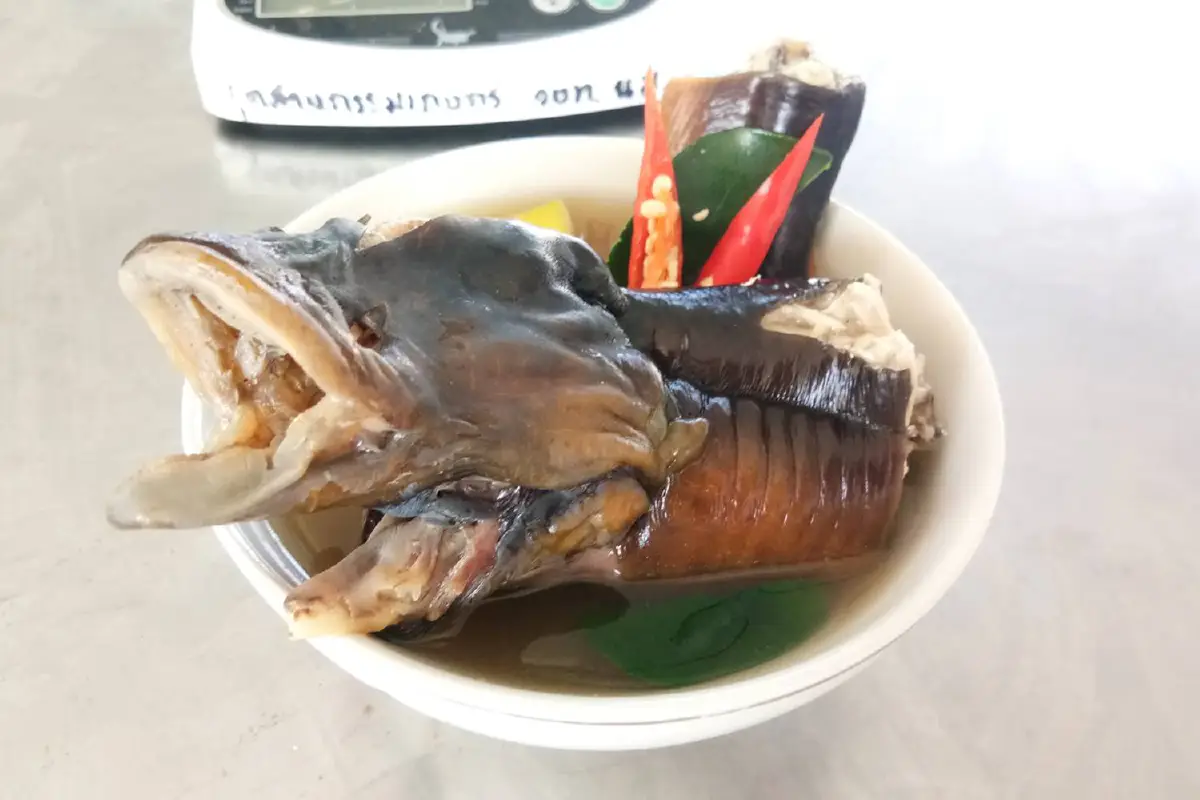 นศ.ไทยเก่งผุดเมนูหายาก"ปลาไหลต้มเปรตบรรจุกระป๋อง"