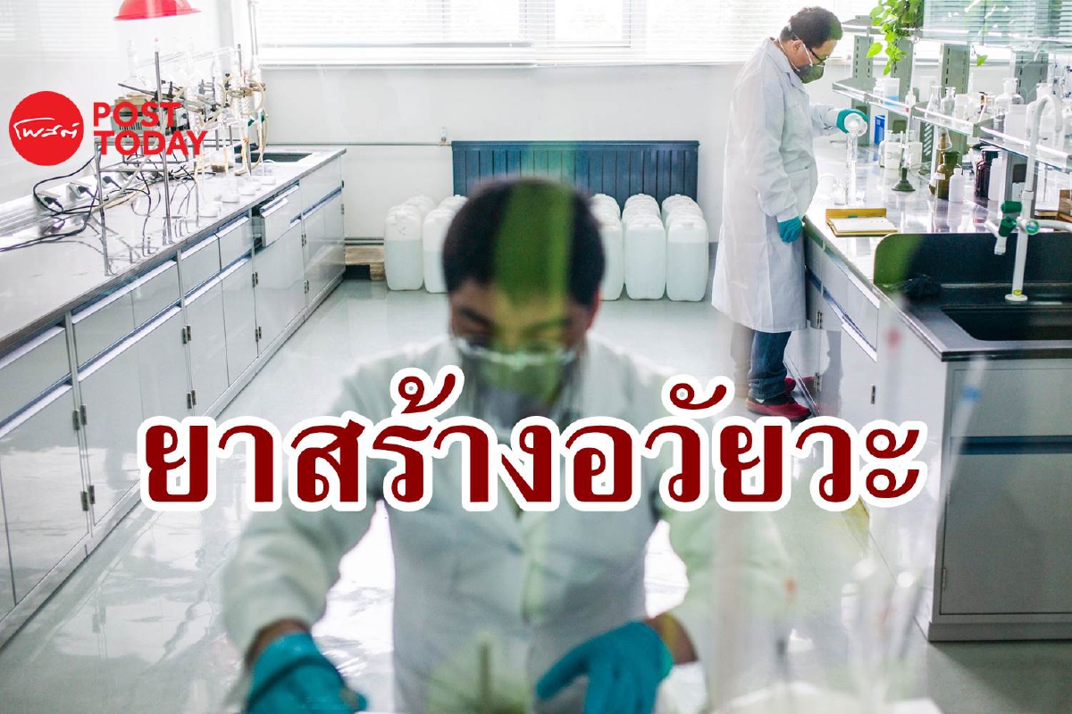 สำเร็จ! ยาช่วยกบขาขาด 'งอกขาใหม่' จุดประกายความหวังช่วยคนพิการ สำเร็จ! ยาช่วยกบขาขาด 'งอกขาใหม่' จุดประกายความหวังช่วยคนพิการ