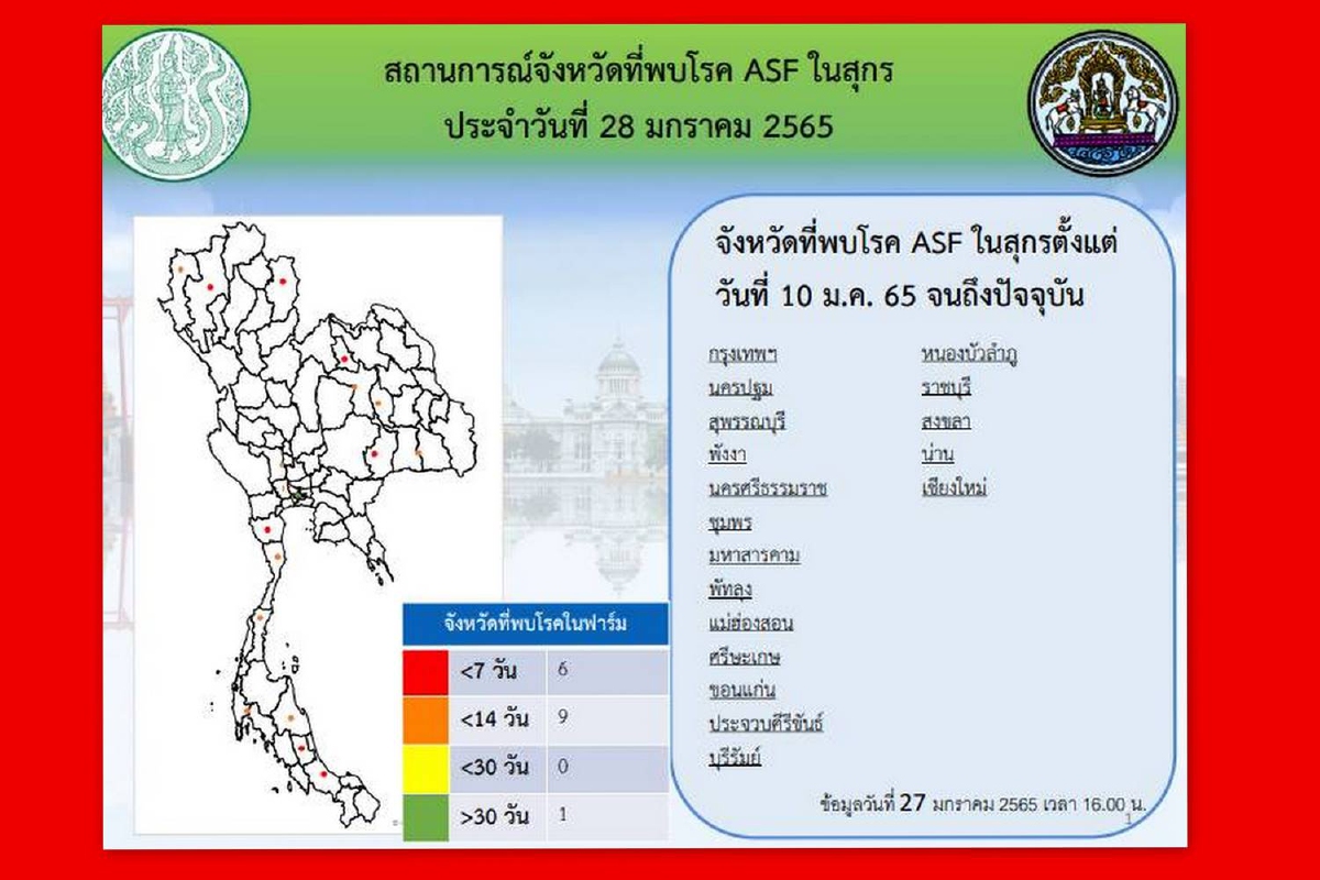 กรมปศุสัตว์ เผย ASF ในสุกรระบาดแล้ว18จังหวัด กรมปศุสัตว์ เผย ASF ในสุกรระบาดแล้ว18จังหวัด