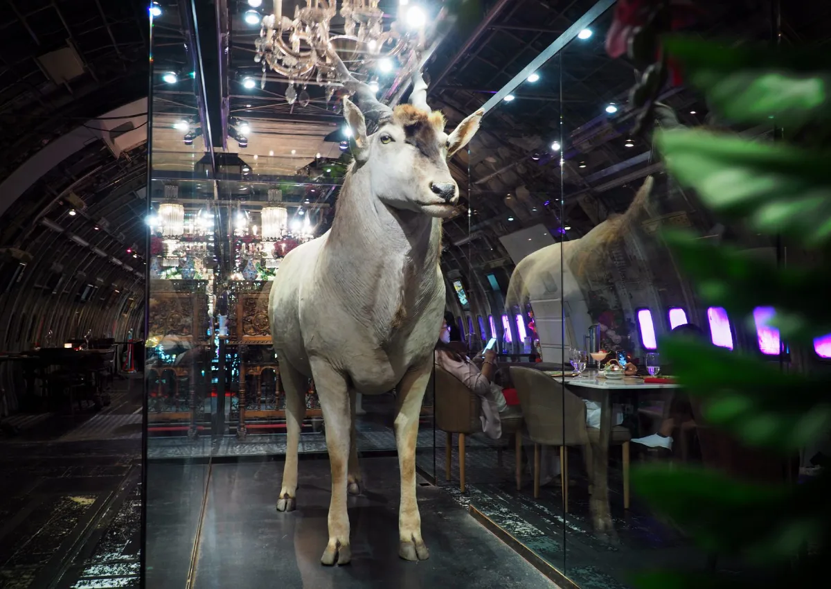 ดินเนอร์หรูบนเครื่องบินลำใหญ่ Na-Oh Bangkok ชมเรื่องราว Episode ใหม่ที่น่าติดตาม