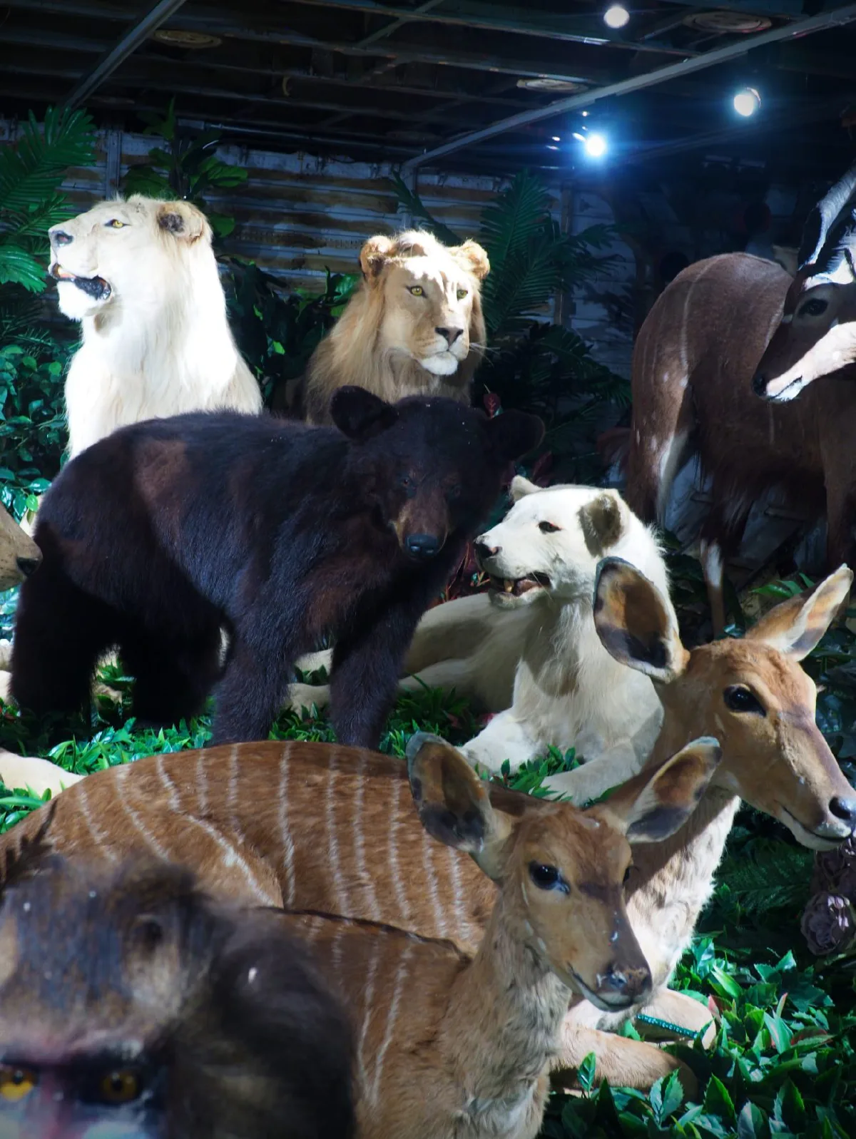 ดินเนอร์หรูบนเครื่องบินลำใหญ่ Na-Oh Bangkok ชมเรื่องราว Episode ใหม่ที่น่าติดตาม