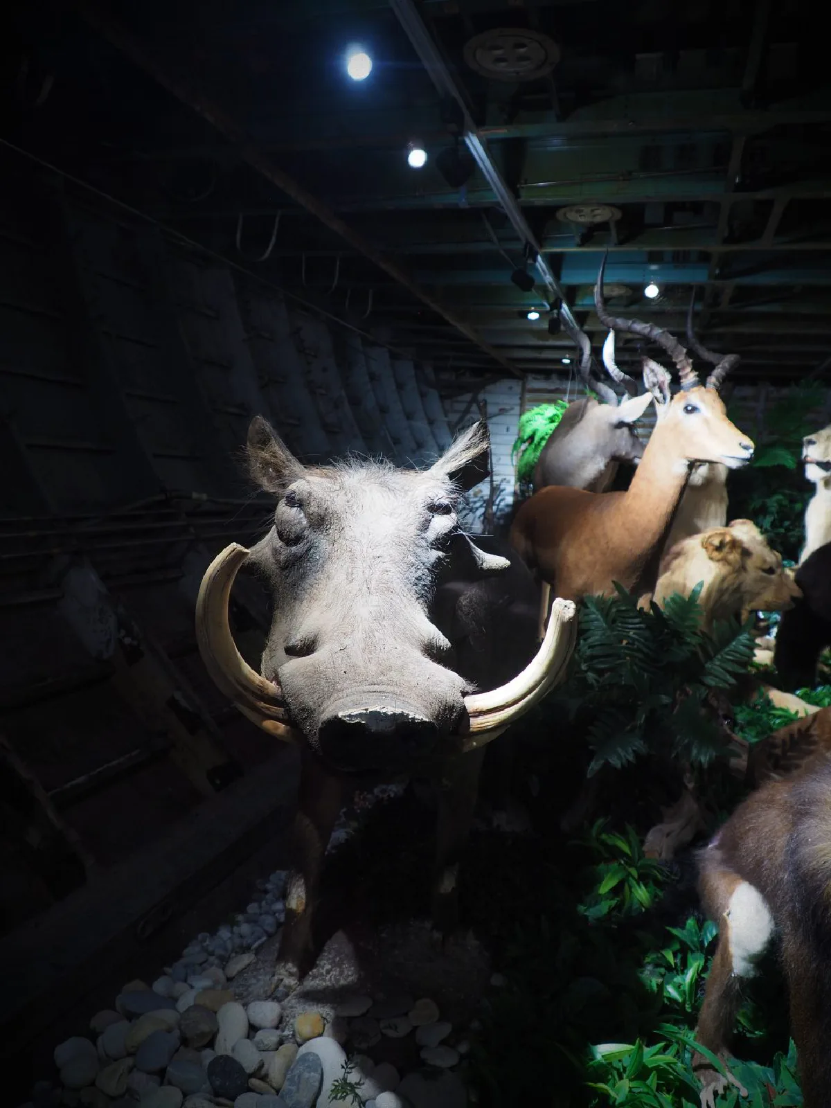 ดินเนอร์หรูบนเครื่องบินลำใหญ่ Na-Oh Bangkok ชมเรื่องราว Episode ใหม่ที่น่าติดตาม