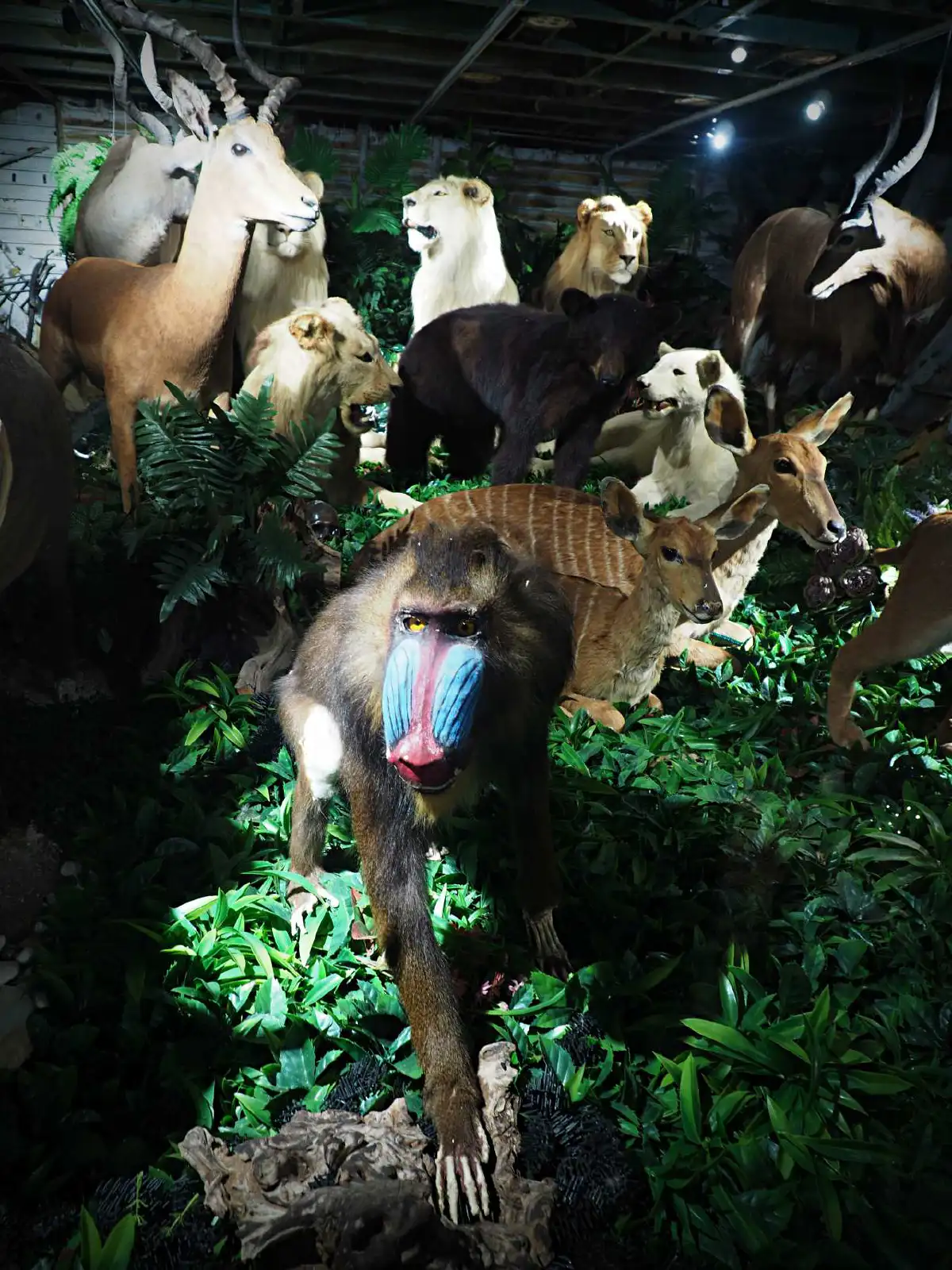 ดินเนอร์หรูบนเครื่องบินลำใหญ่ Na-Oh Bangkok ชมเรื่องราว Episode ใหม่ที่น่าติดตาม