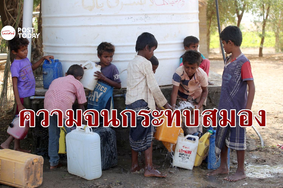 วิจัยสหรัฐชี้ความยากจนกระทบพัฒนาการสมองของเด็ก วิจัยสหรัฐชี้ความยากจนกระทบพัฒนาการสมองของเด็ก