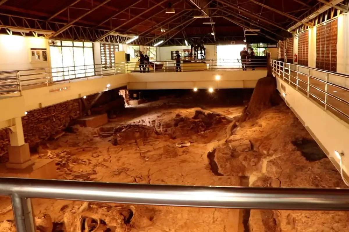 พิพิธภัณฑ์สิรินธรเปิดบริการ ผู้เข้าชมต้องรับวัคซีนแล้ว1เข็ม