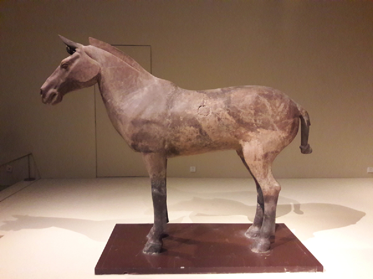 รัสเซียช่วยจีนด้วยกลศึก "ล้อมเว่ยช่วยจ้าว"?