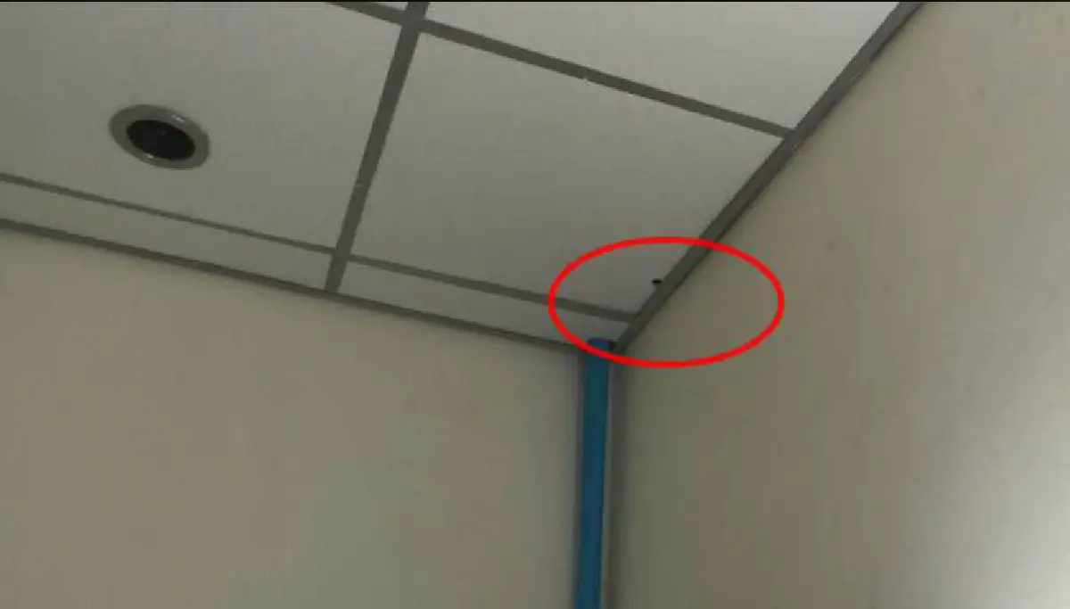 ทัพเรือประณาม"นาวาตรี"ติดกล้องแอบถ่ายห้องน้ำหญิง สั่งลงโทษให้ถึงที่สุด