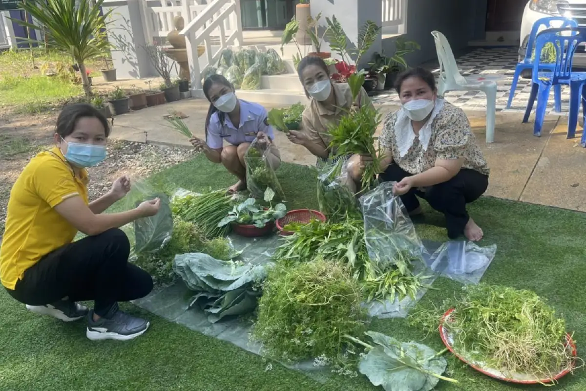 นอภ.ศรีนครสนองนโยบายมท.ปลูกผักสวนครัวแจกให้ชาวบ้านฟรี