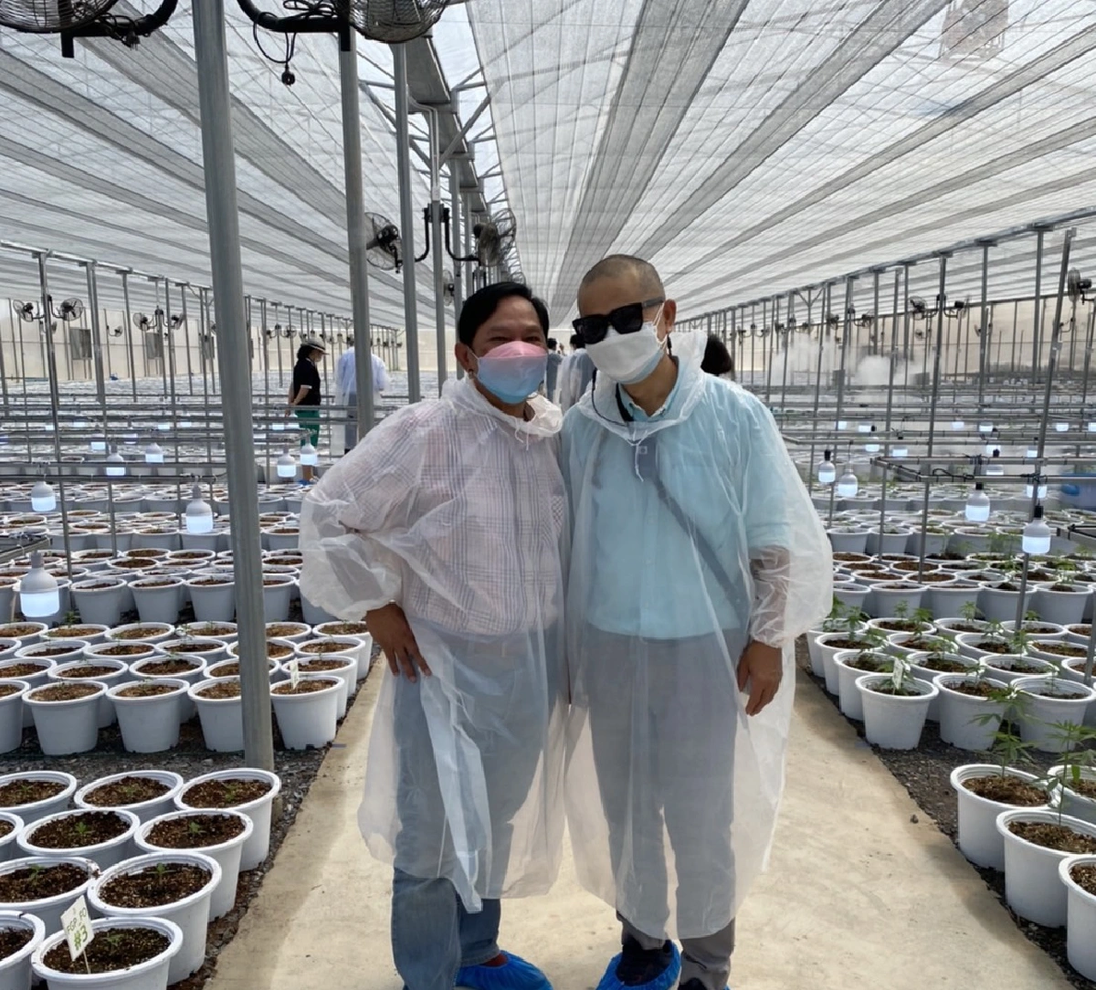 “EE”ผนึก “CW”เดินหน้าเปิดฟาร์มแคนนาบิซเวย์ วัลเล่ย์ เมืองกัญชาในม่านหมอก