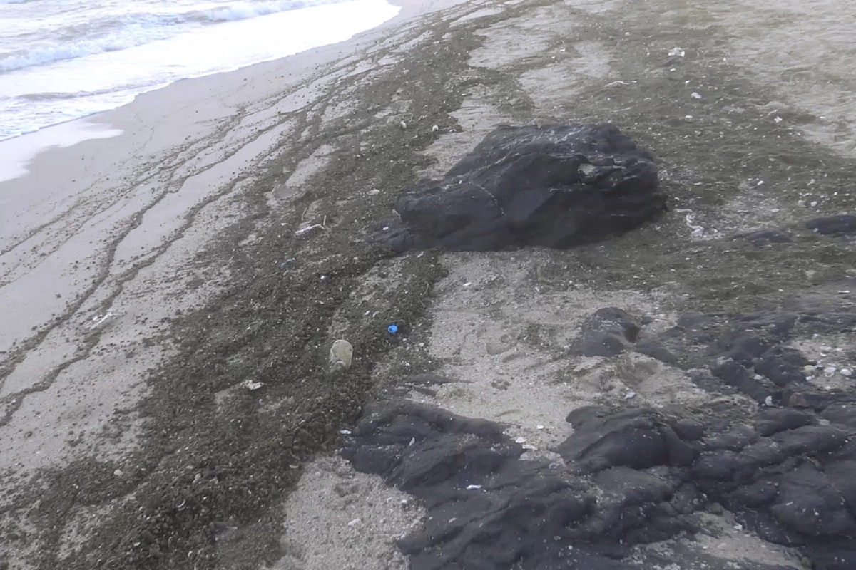 หินภูเขาไฟตัดทะเลถูกคลื่นซัดกระจายเกลื่อนตลอดแนวฝั่งทะเลอ่าวไทย