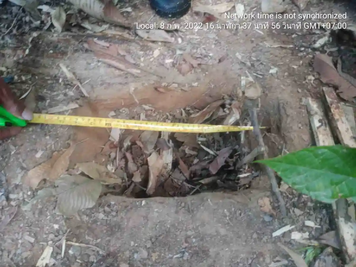 สุดสลด!จนท.อุทยานฯเขาแหลมพบอุ้งตีนเสือขาดจากกับดัก