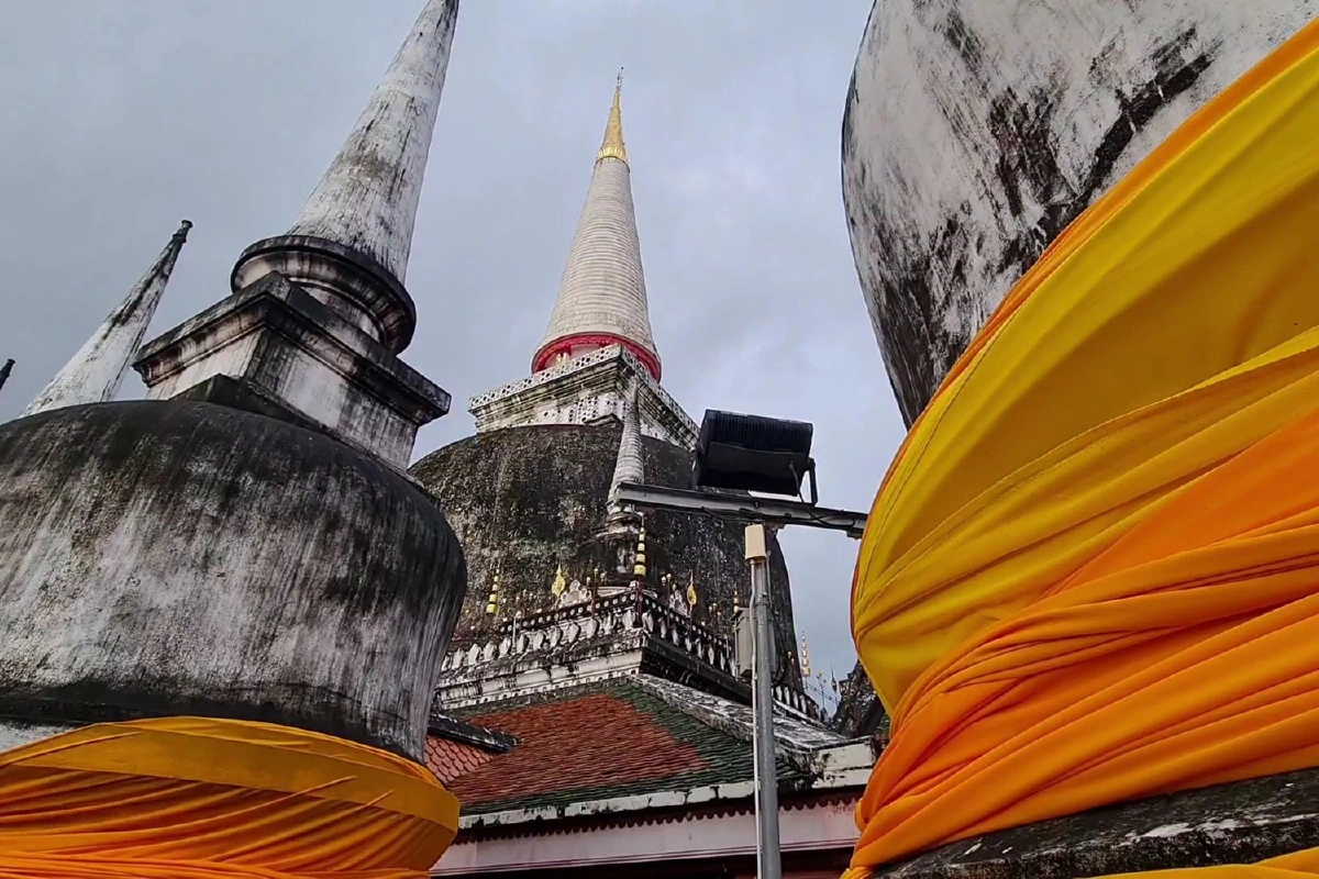 บรรยากาศแห่ผ้าขึ้้นธาตุเมืองนครศรีฯ วันมาฆาบูชา ท่ามกลางการคุมโควิดเข้ม
