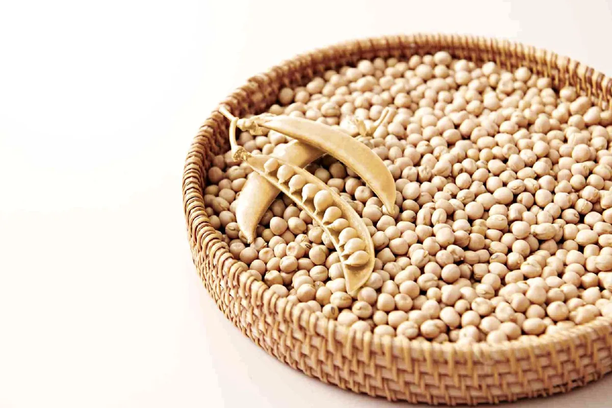 8 เหตุผลที่บอกว่าคนควรทานโปรตีนจากพืช