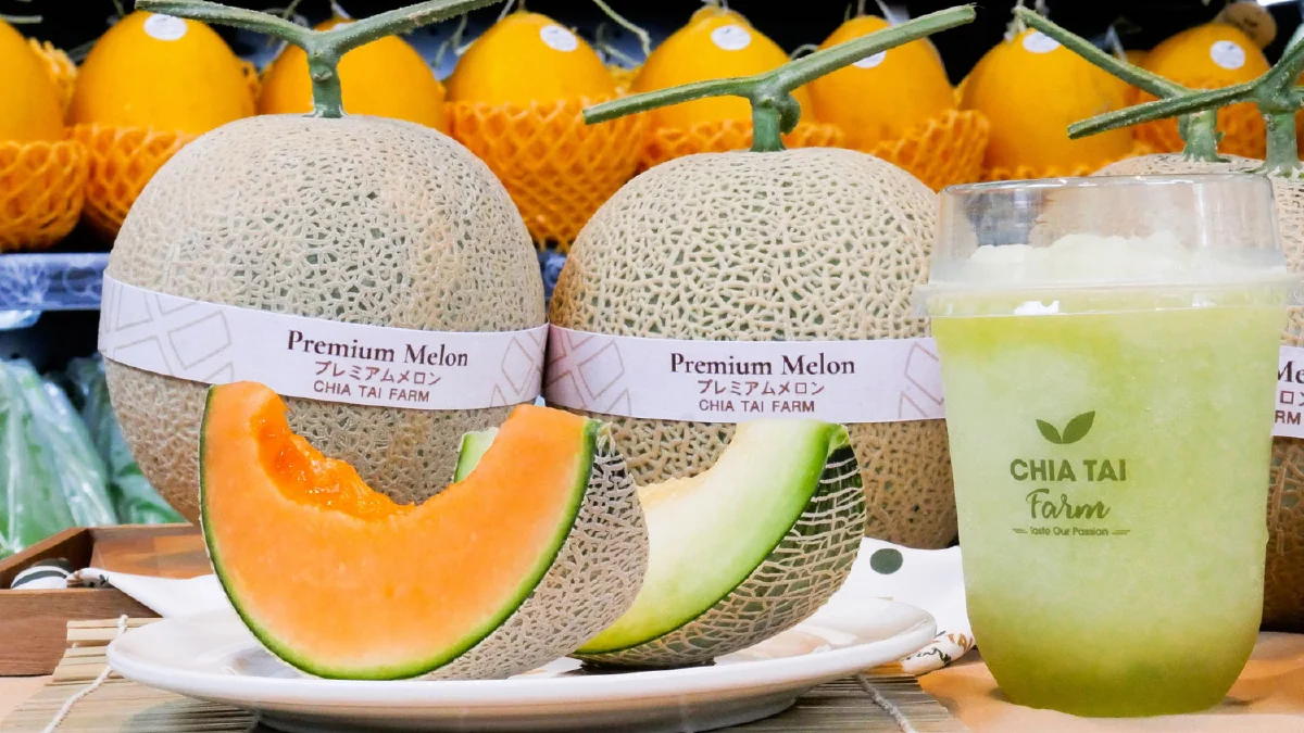 เจียไต๋ฟาร์ม เปิดตัวเมล่อนญี่ปุ่นพรีเมี่ยม 2 สายพันธุ์ใหม่ พร้อมก้าวสู่การเป็น King of Melon ในไทย