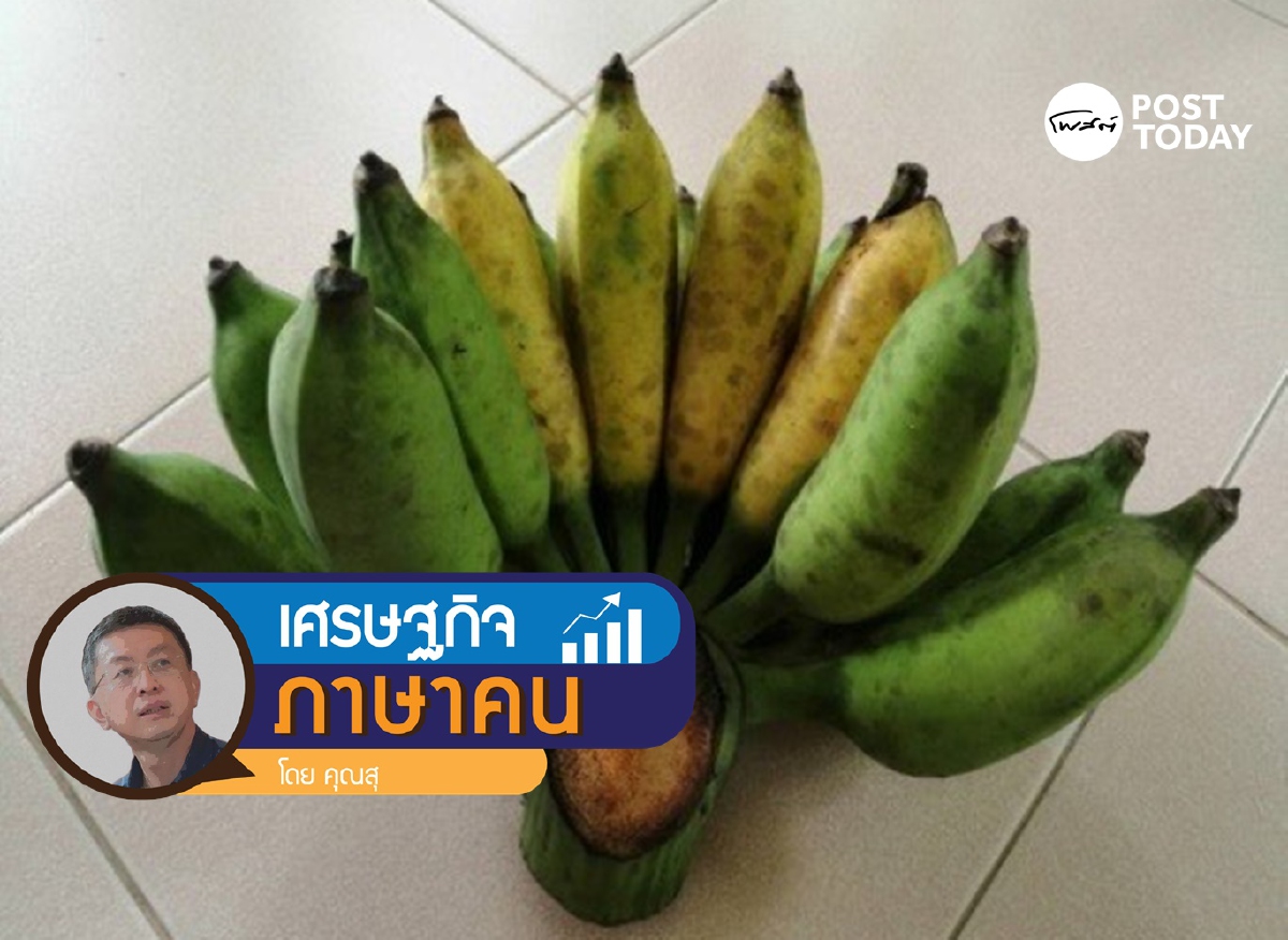 ดูภาพ หวีกล้วย ช่วยให้ได้คิดภาพใหญ่ ดูภาพ หวีกล้วย ช่วยให้ได้คิดภาพใหญ่