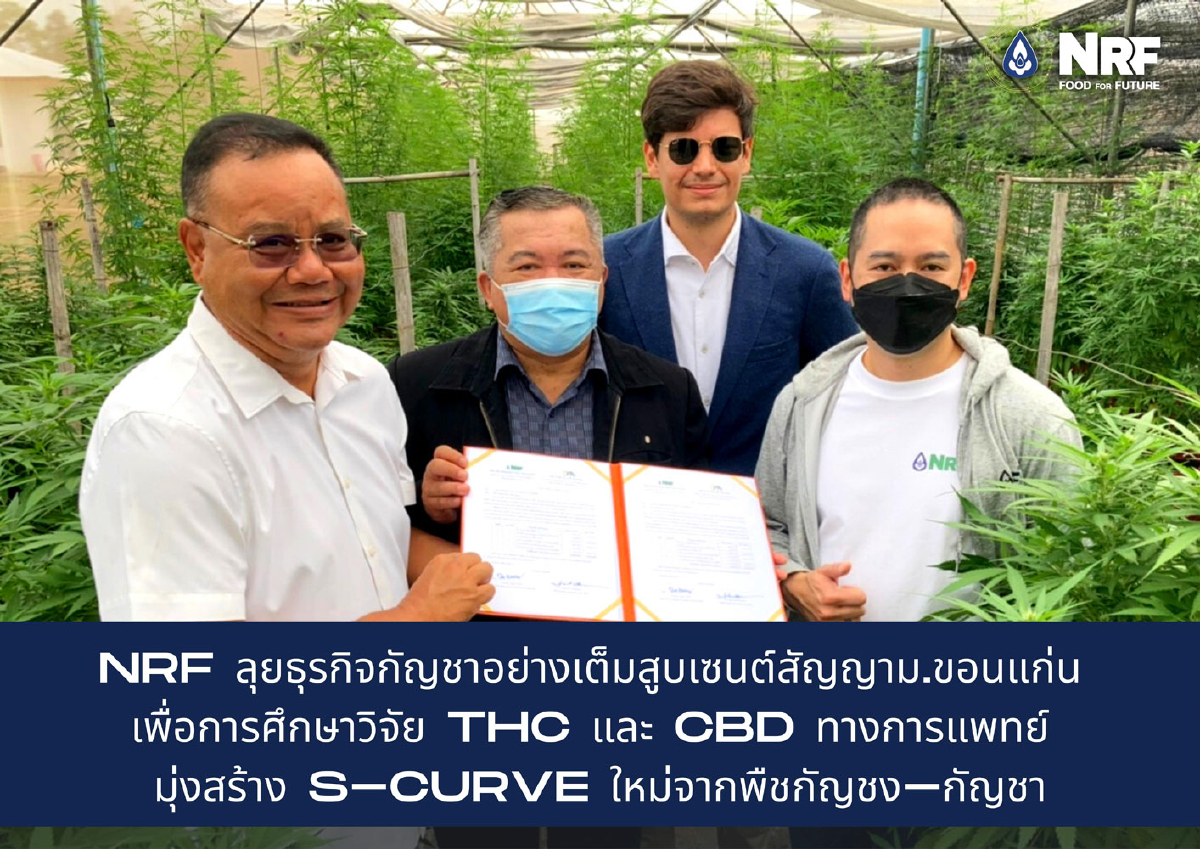 NRF รุกธุรกิจสุขภาพ ลุยธุรกิจกัญชาอย่างเต็มสูบ กับ ม.ขอนแก่น เพื่อการศึกษาวิจัย THC และ CBD ทางการแพทย์ NRF รุกธุรกิจสุขภาพ ลุยธุรกิจกัญชาอย่างเต็มสูบ กับ ม.ขอนแก่น เพื่อการศึกษาวิจัย THC และ CBD ทางการแพทย์