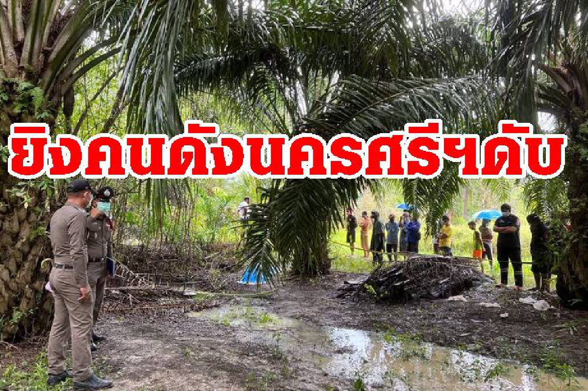 แค้นถูกด่ายุ่งเกี่ยวยาเสพติด อดีตลูกน้องบุกยิงคนดังเมืองนครศรีฯดับคาสวนปาล์ม แค้นถูกด่ายุ่งเกี่ยวยาเสพติด อดีตลูกน้องบุกยิงคนดังเมืองนครศรีฯดับคาสวนปาล์ม