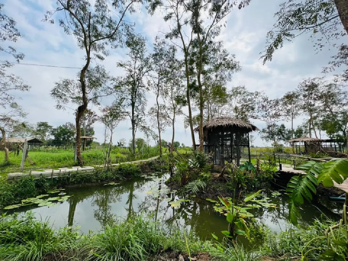 อสส.แจงป้องกันสับสนแค่เปิด"Mini Zoo"ไม่ใช่สวนสัตว์แห่งใหม่