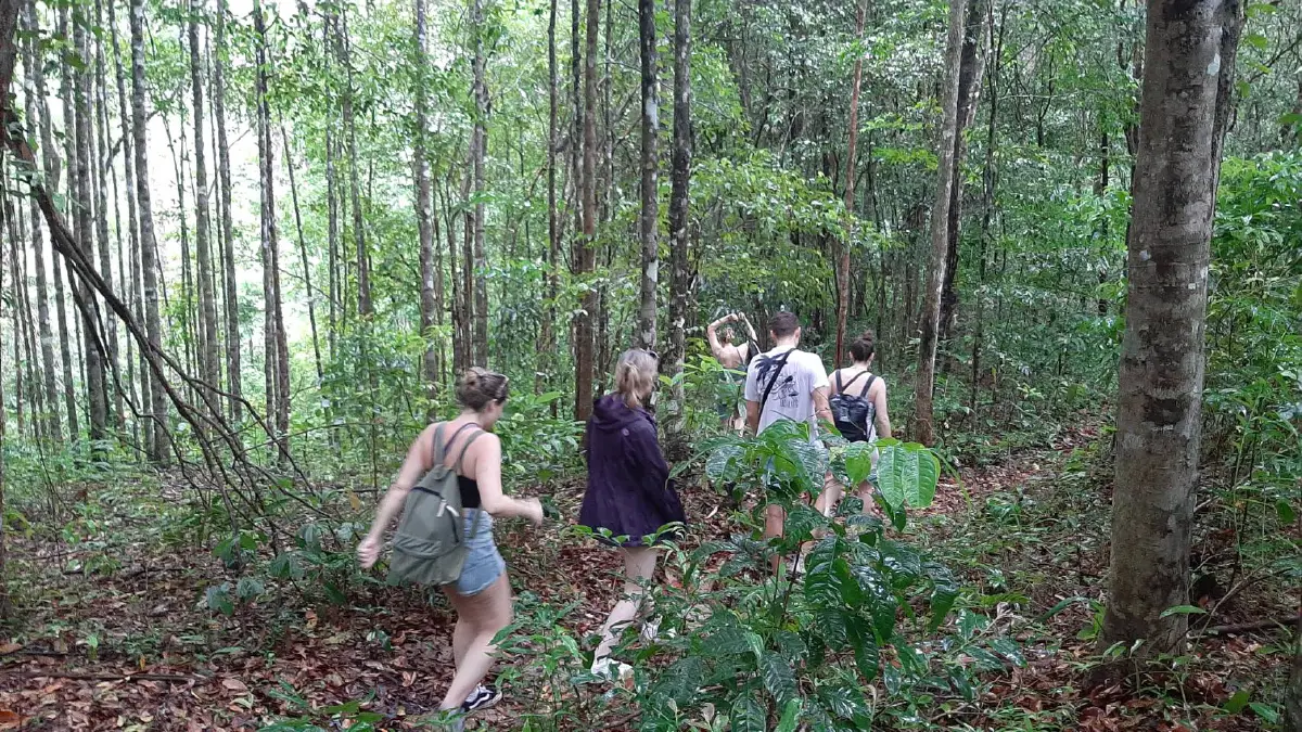 ระดมช่วย 5 นักท่องเที่ยวเยอรมันคนหลงป่าเขาหราเกาะพะงัน