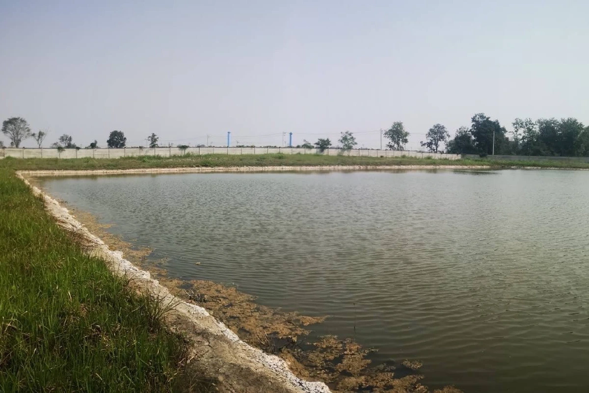 “โซล่าเซลล์” พลังงานจากแสงอาทิตย์ ต้นแบบการรักษ์โลกอย่างยั่งยืน