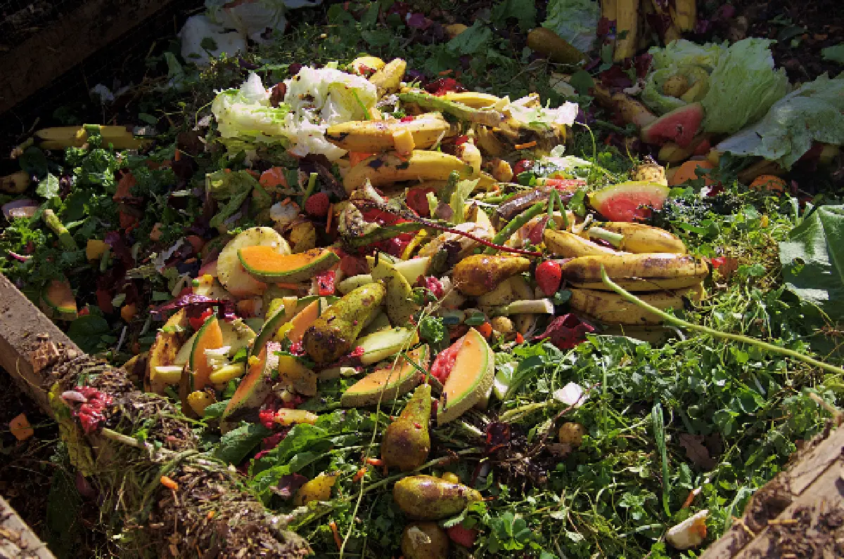 หนทางสู่ความยั่งยืนในการบริหารจัดการขยะอาหาร