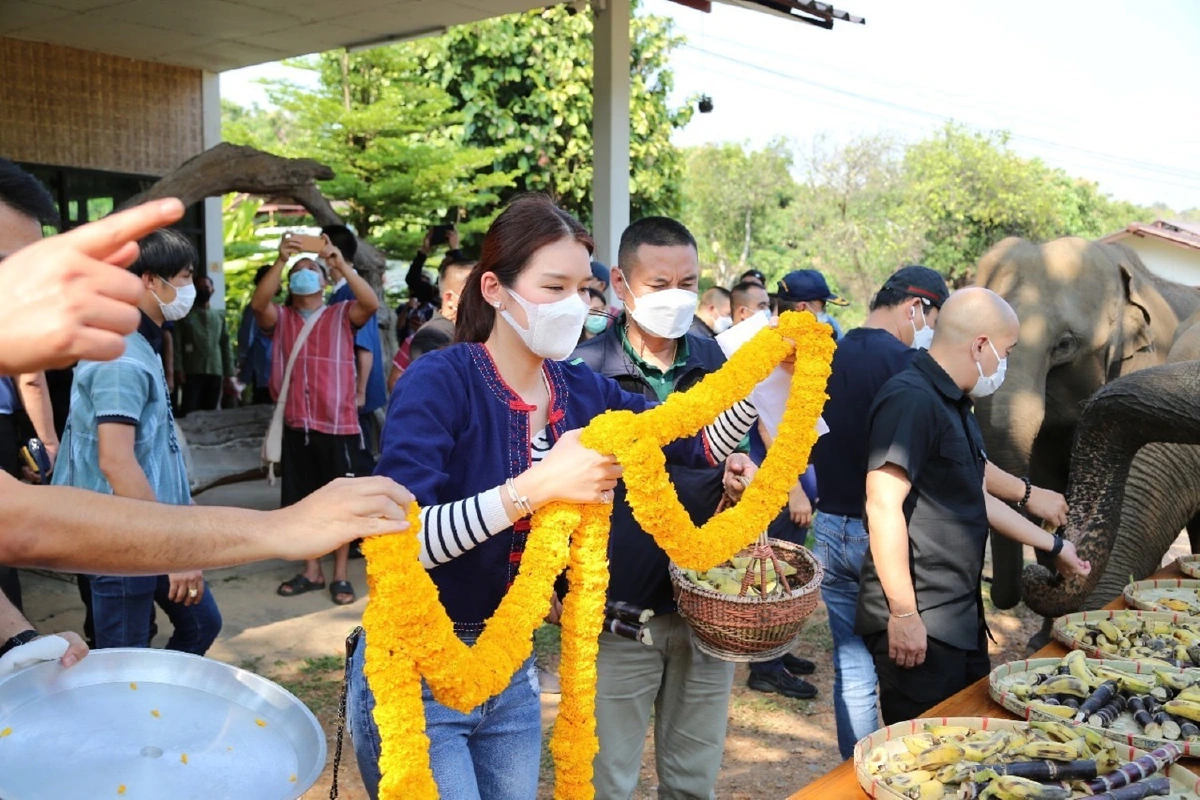 "ธรรมนัส" หันแจกกล้วยช้างเชียงใหม่