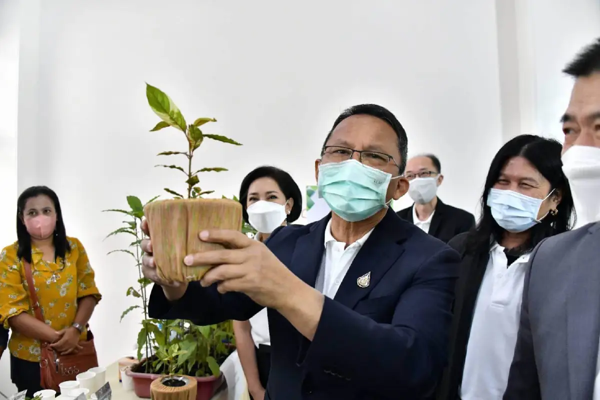 "สมศักดิ์"สั่งต่อยอดส่งออก "กระท่อม" ไปต่างประเทศ