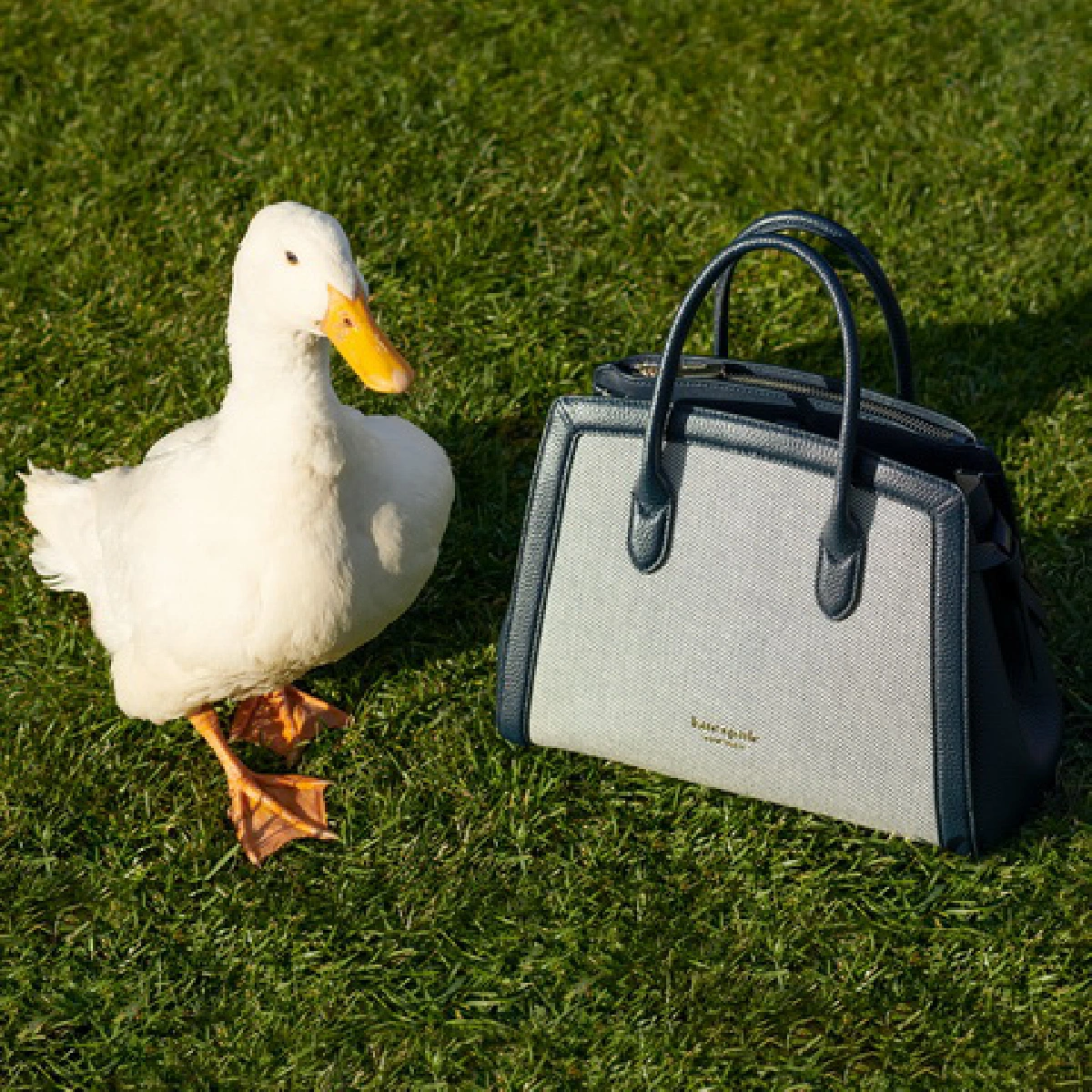 Kate Spade New York เฉลิมฉลองเปิดร้านใน Shopee Premium ปล่อย Spring Collection ดึงดูดใจสาวนักช้อป