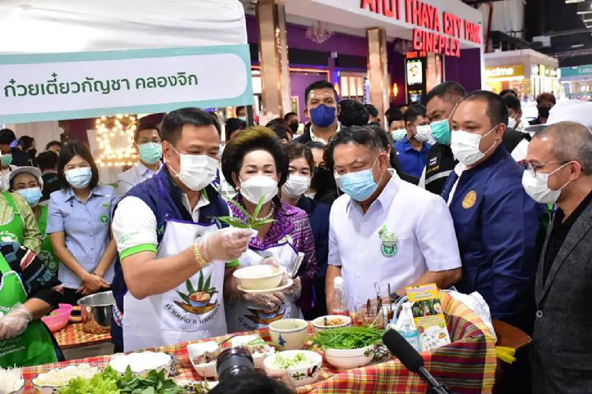 "อนุทิน" เปิดงานวิชาการกัญชา อยุธยา มั่นใจมีอนาคตสดใส ทั้งสุขภาพ-สร้างรายได้