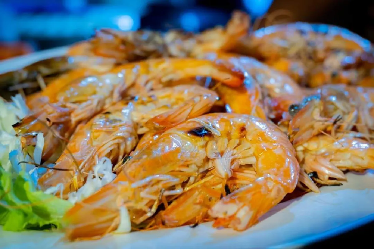 ยกทะเลมาไว้ริมโขง  @The Sea Bar (ท่าบ่อ หนองคาย)