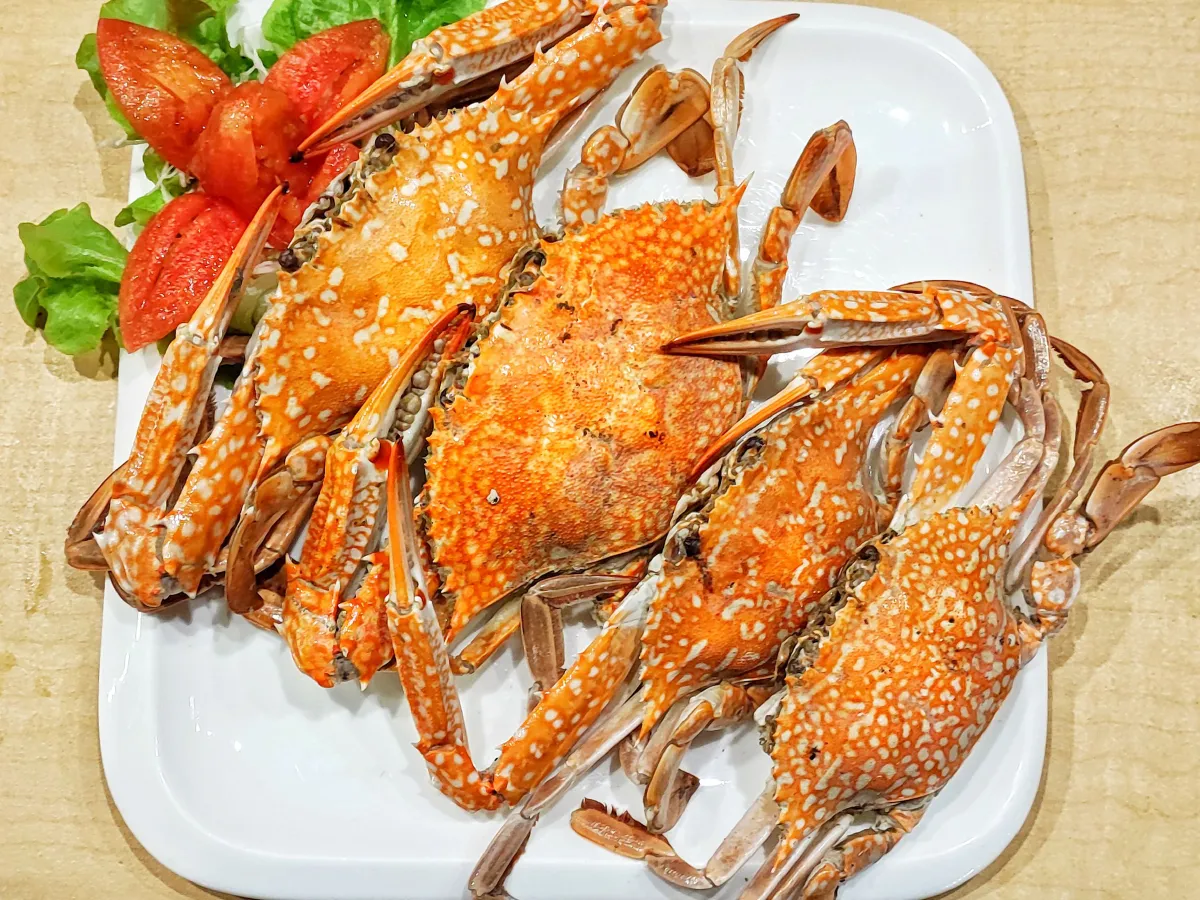 ยกทะเลมาไว้ริมโขง  @The Sea Bar (ท่าบ่อ หนองคาย)