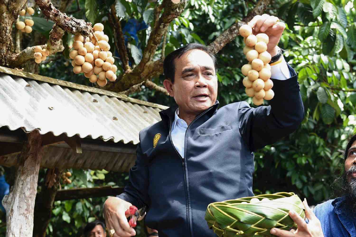 รับมือฤดูผลไม้! นายกฯชวนคนไทยช่วยบริโภค รับมือฤดูผลไม้! นายกฯชวนคนไทยช่วยบริโภค