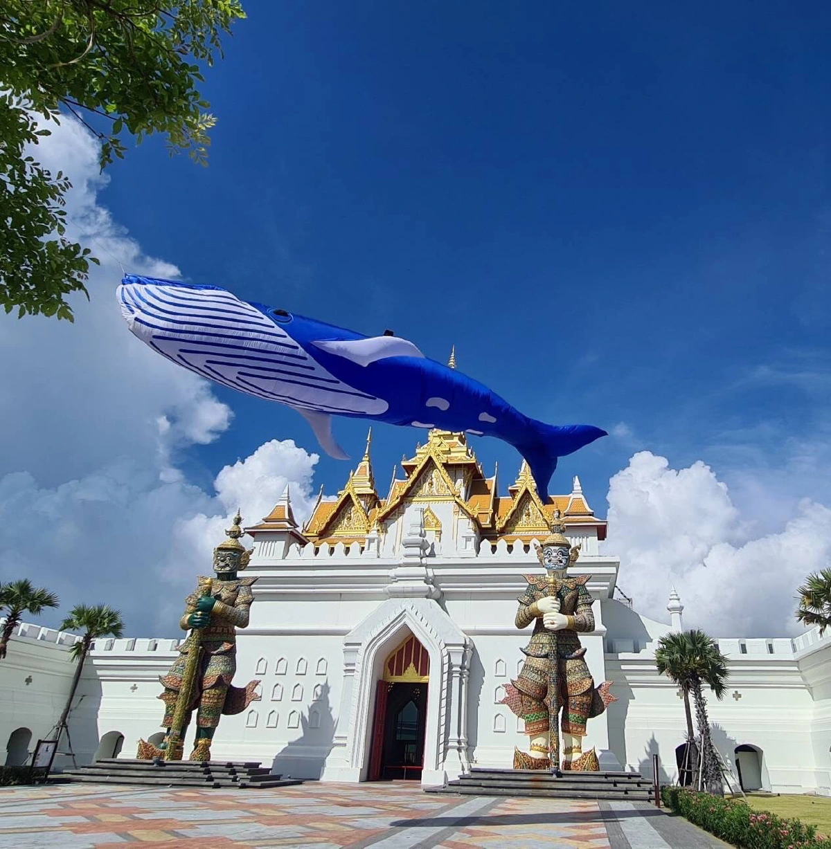 เที่ยวสนุก เสริมสมอง ท่องตะลุยไร่กัญชา @เลเจนด์ สยาม พัทยา 