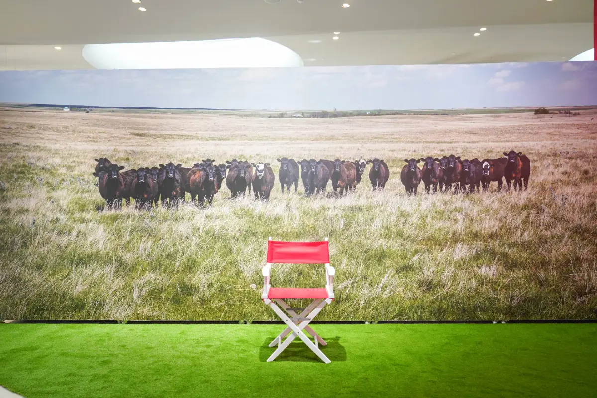 ชวนชมนิทรรศการ Take Your Seat Together ฉลองครบรอบ 60 ปีความสัมพันธ์ทางการทูตแคนาดา-ไทย