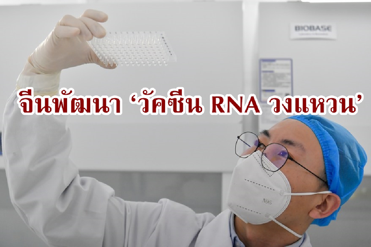 จีนพัฒนา ‘วัคซีน RNA วงแหวน’ ต้านโควิด-19 ‘โอไมครอน-เดลตา’ จีนพัฒนา ‘วัคซีน RNA วงแหวน’ ต้านโควิด-19 ‘โอไมครอน-เดลตา’