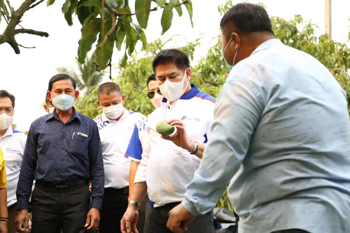 "ธรรมนัส"บุกบ้านแพ้วช่วยเหลือชาวสวนมะม่วงราคาตกต่ำ