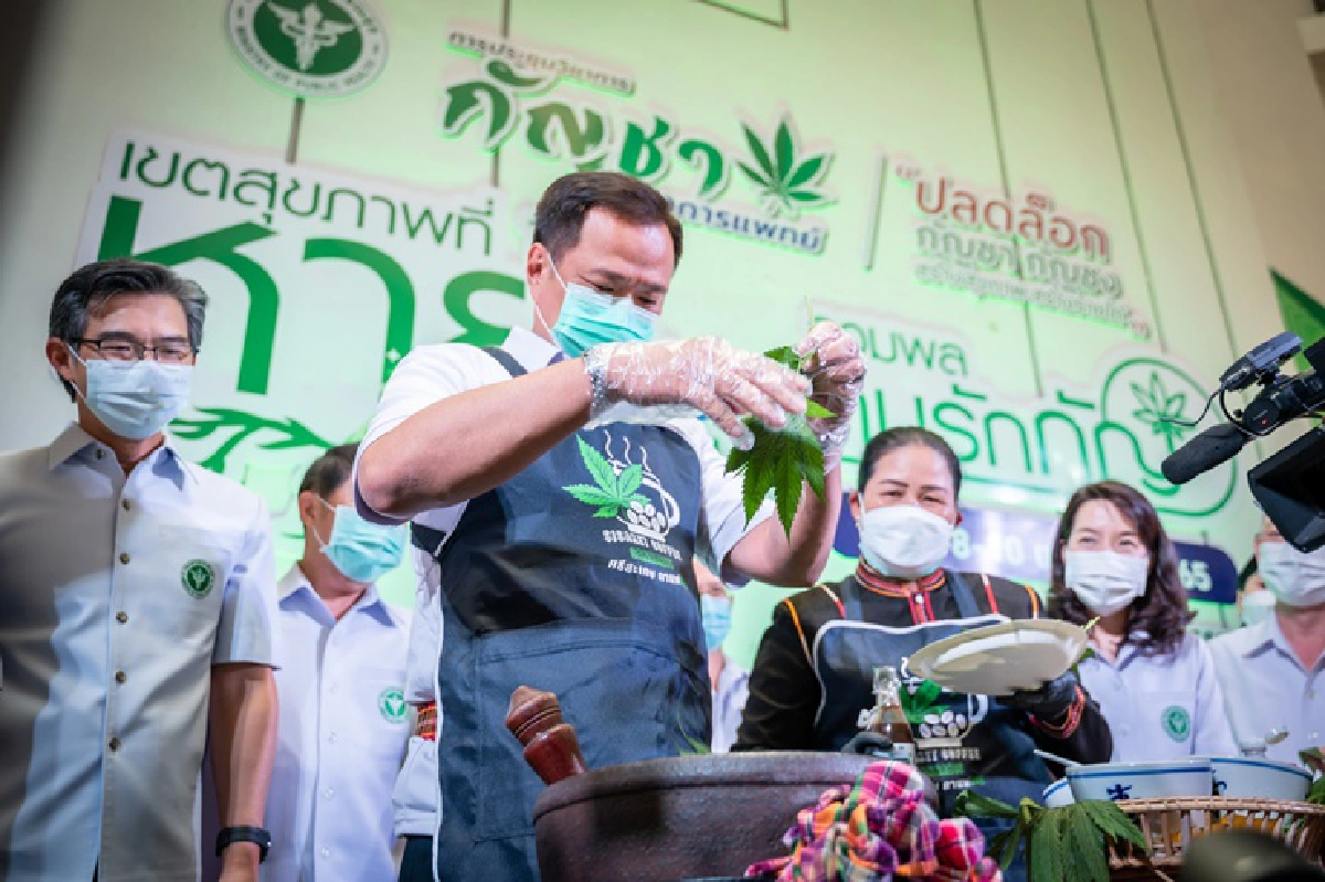 คึกคัก! มหกรรมกัญชาศรีสะเกษ "อนุทิน" ยัน 9 มิ.ย. ประชาชนจดแจ้ง ปลูกกี่ต้นก็ได้