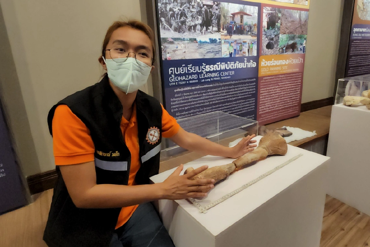 พบฟอสซิลดึกดำบรรพ์กระดูกน่องไดโนเสาร์อายุราว 210 ล้านปี