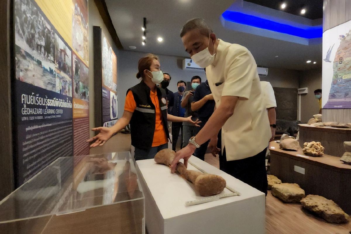 พบฟอสซิลดึกดำบรรพ์กระดูกน่องไดโนเสาร์อายุราว 210 ล้านปี