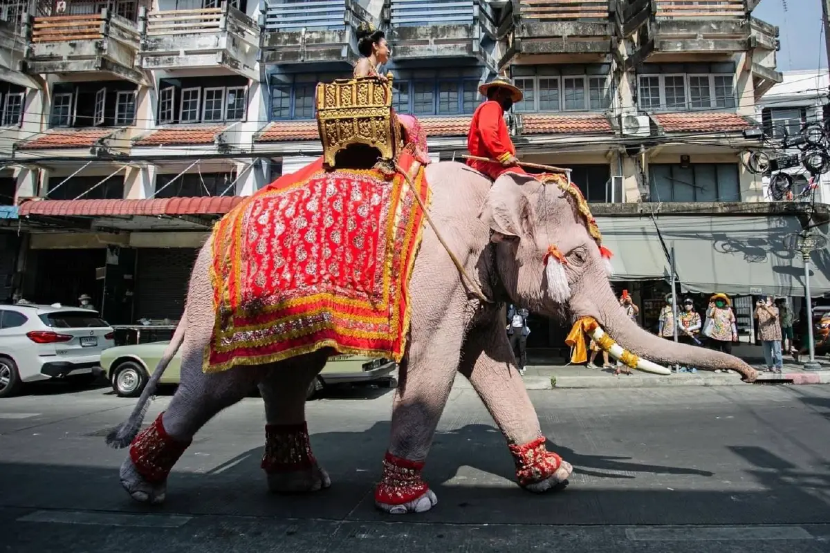 สงกรานต์ชลบุรีคึก! ขบวนแห่อ.ศรีราชา คว้าถ้วยพระราชทาน 