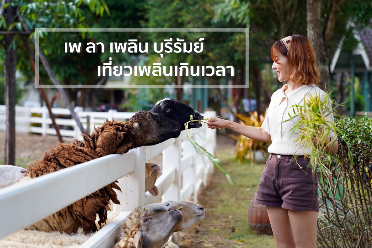 เพ ลา เพลิน บุรีรัมย์ เที่ยวเพลินเกินเวลา เพ ลา เพลิน บุรีรัมย์ เที่ยวเพลินเกินเวลา