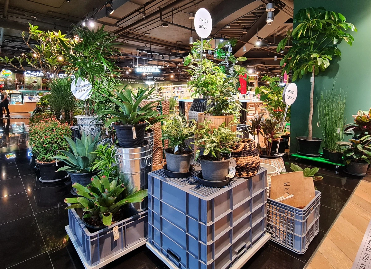 ช้อปรักษ์โลก Ecotopia ร่วมสร้างโลกที่ดีไปด้วยด้วยกัน ต้อนรับ Earth Day