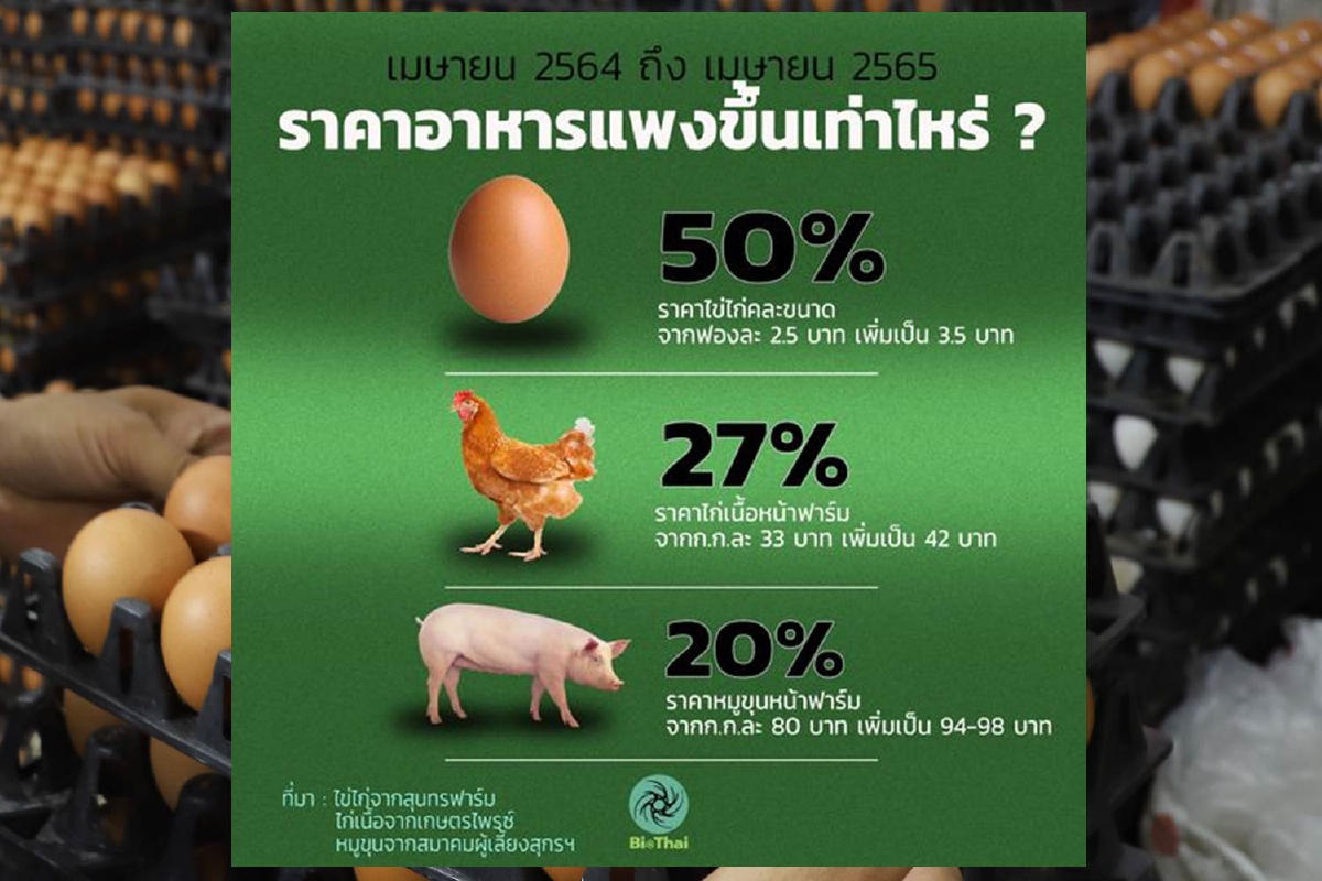 "BIOTHAI"เทียบราคาอาหารเม.ย.64-65 ไข่ไก่แพงขึ้น50% "BIOTHAI"เทียบราคาอาหารเม.ย.64-65 ไข่ไก่แพงขึ้น50%
