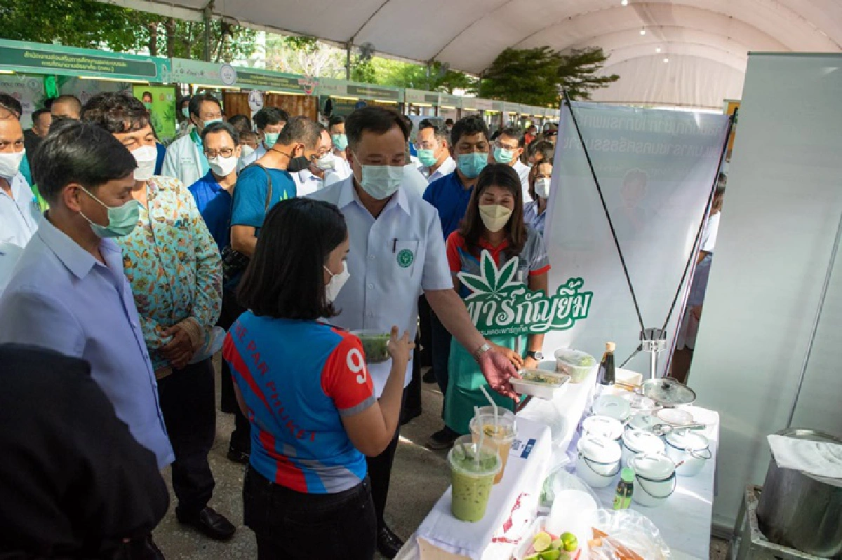 งานกัญชาระนองสุดคึก คนแห่ปรึกษาตรวจรักษาคลินิกกัญชา