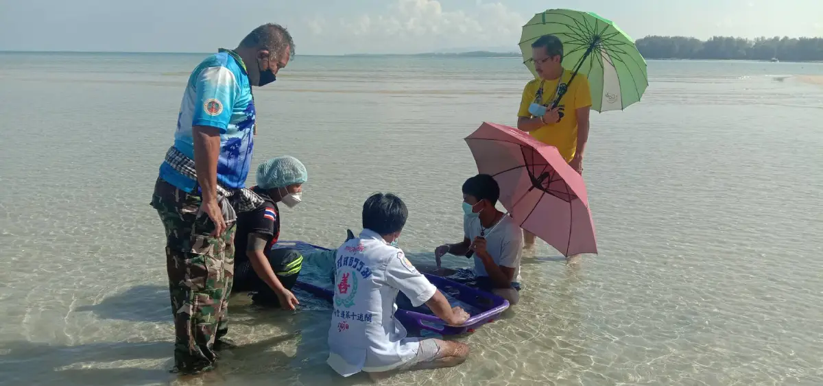 พบโลมาเกยตื้นถูกอวนบาดเจ็บหลายจุดหน้าหาดในยาง 