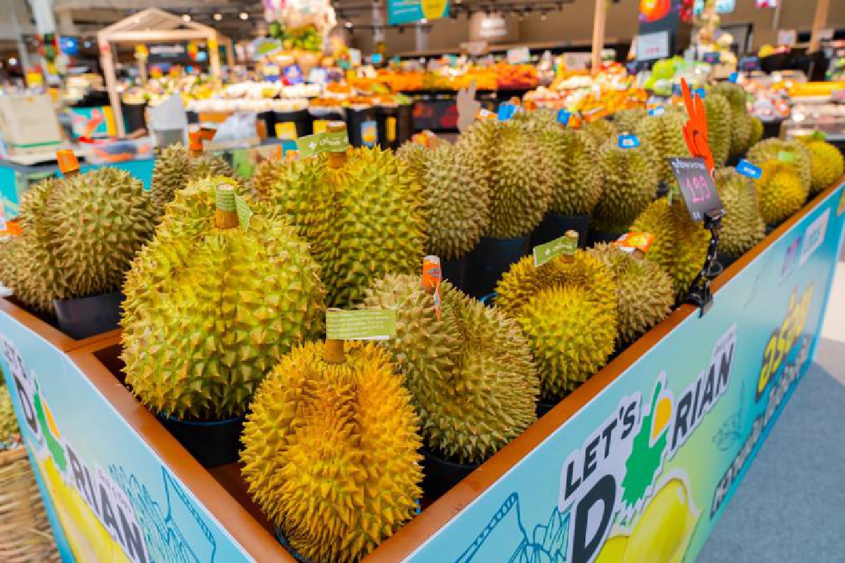 โลตัส อุ้มเกษตรกร รับซื้อทุเรียน 3 ล้านกิโลกรัม โลตัส อุ้มเกษตรกร รับซื้อทุเรียน 3 ล้านกิโลกรัม
