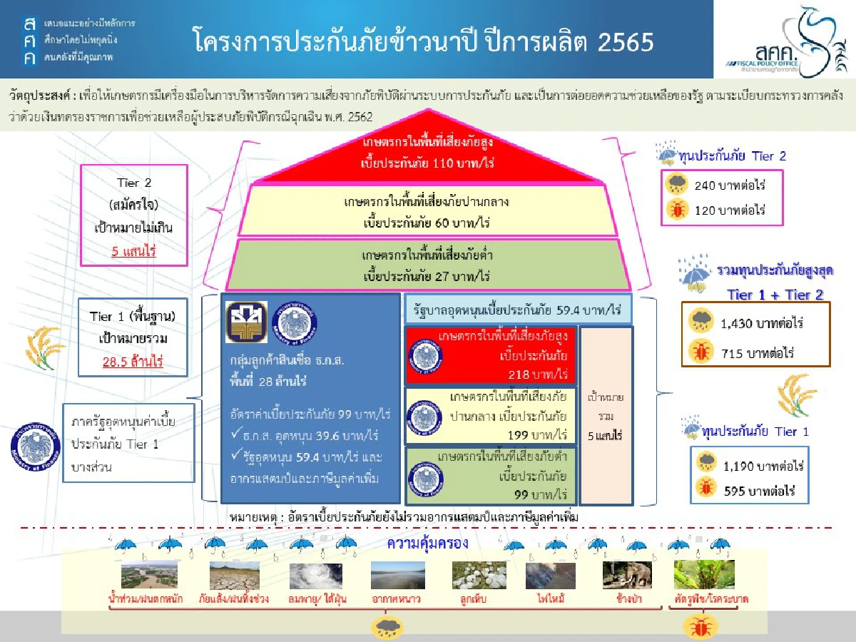 คลังแจงเงื่อนไขประกันภัยข้าวนาปี และข้าวโพดเลี้ยงวัตว์